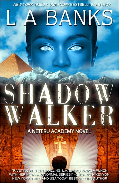 Shadow Walker (Neteru Academy Series #1)