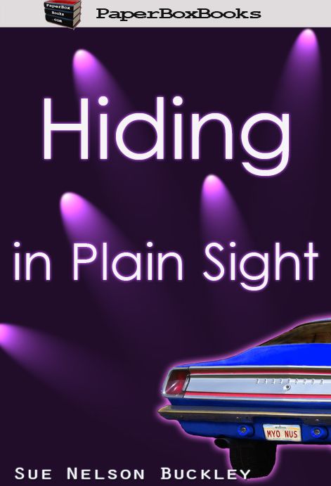 Hiding In Plain Sight