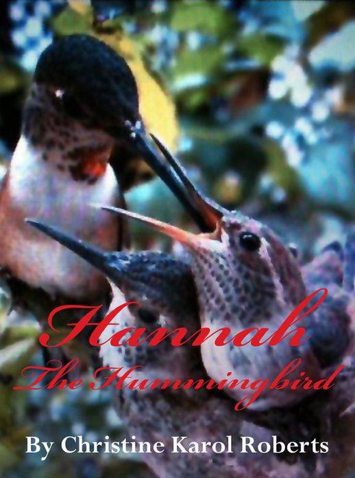 Hannah the Hummingbird