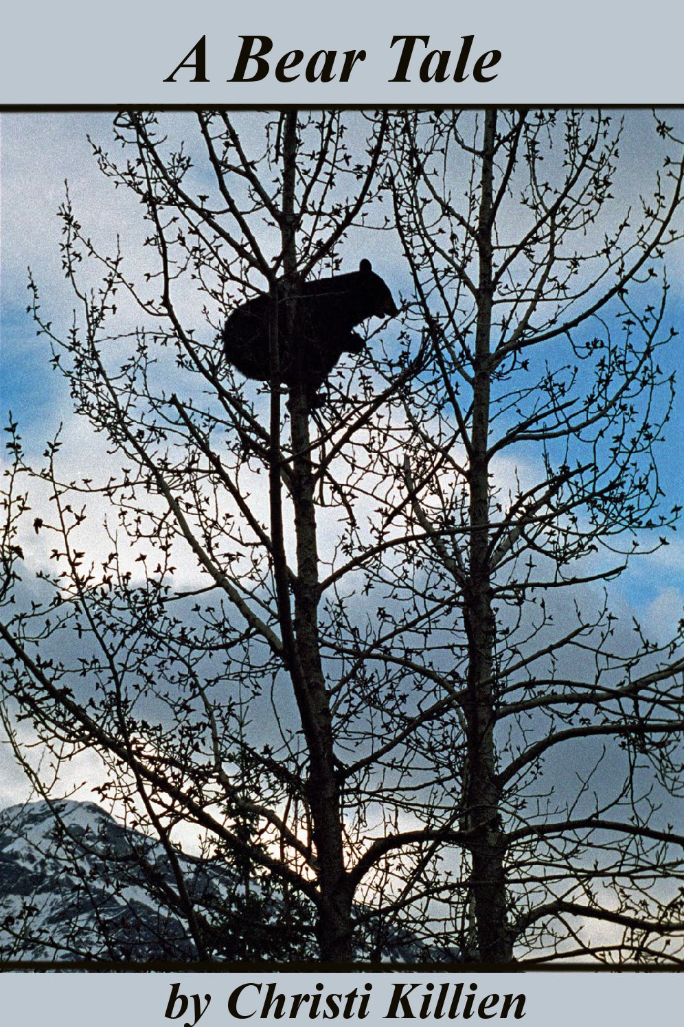 A Bear Tale
