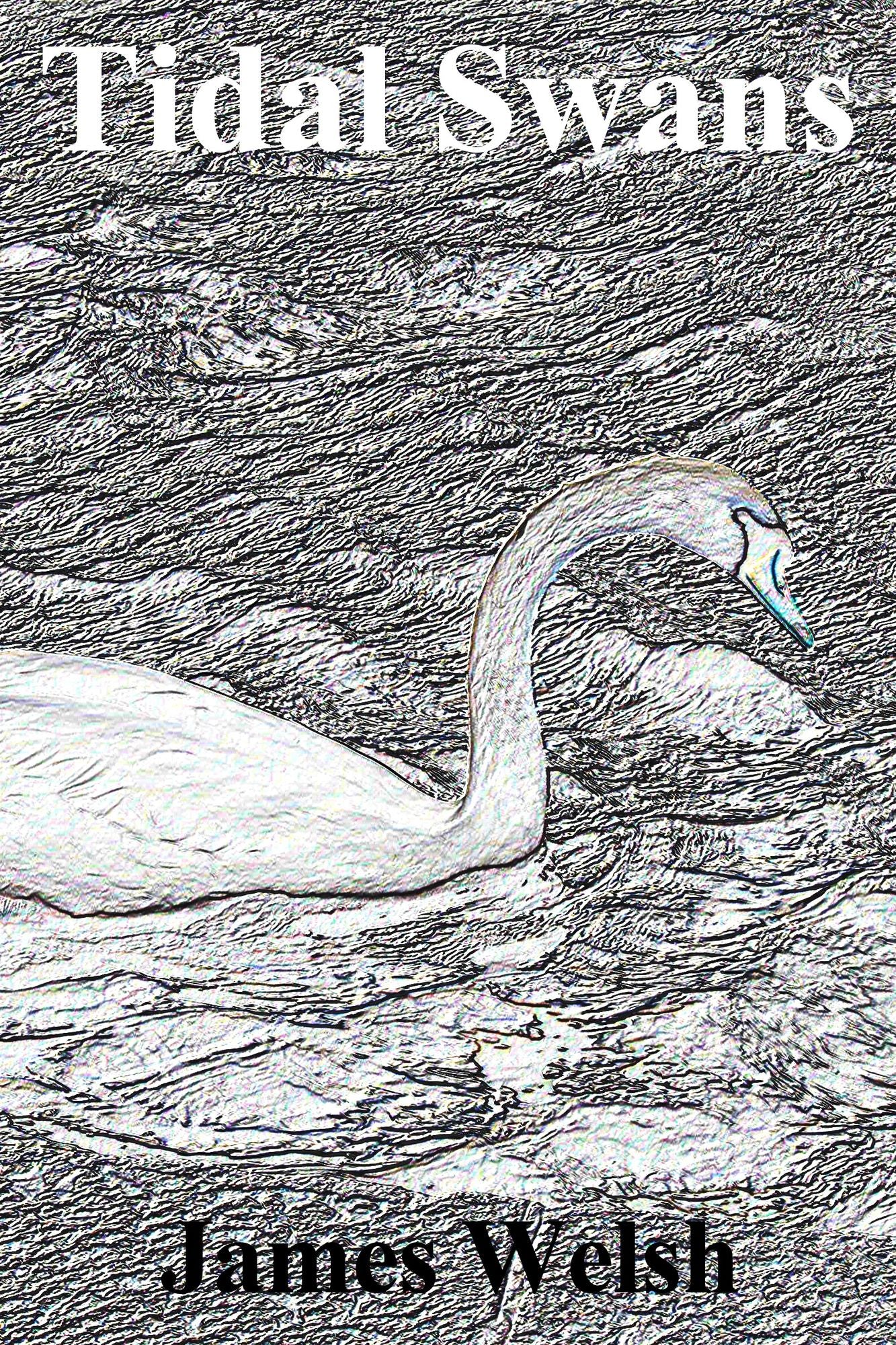 Tidal Swans