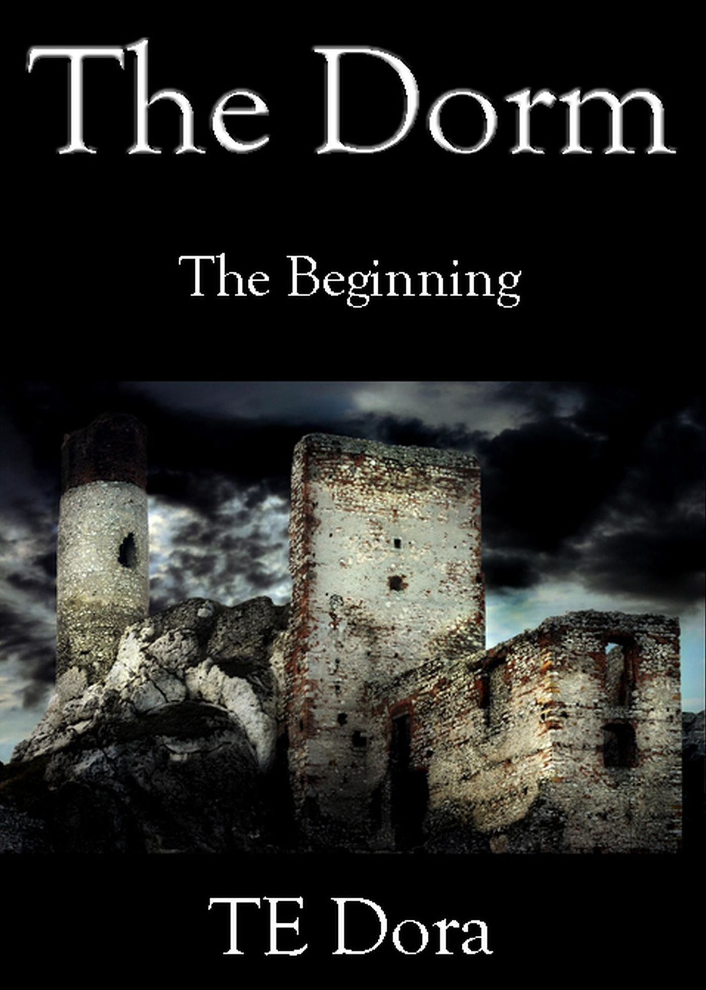 The Dorm: Book One, The Beginning
