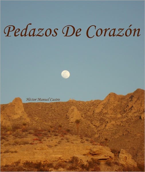Pedazos de Corazón