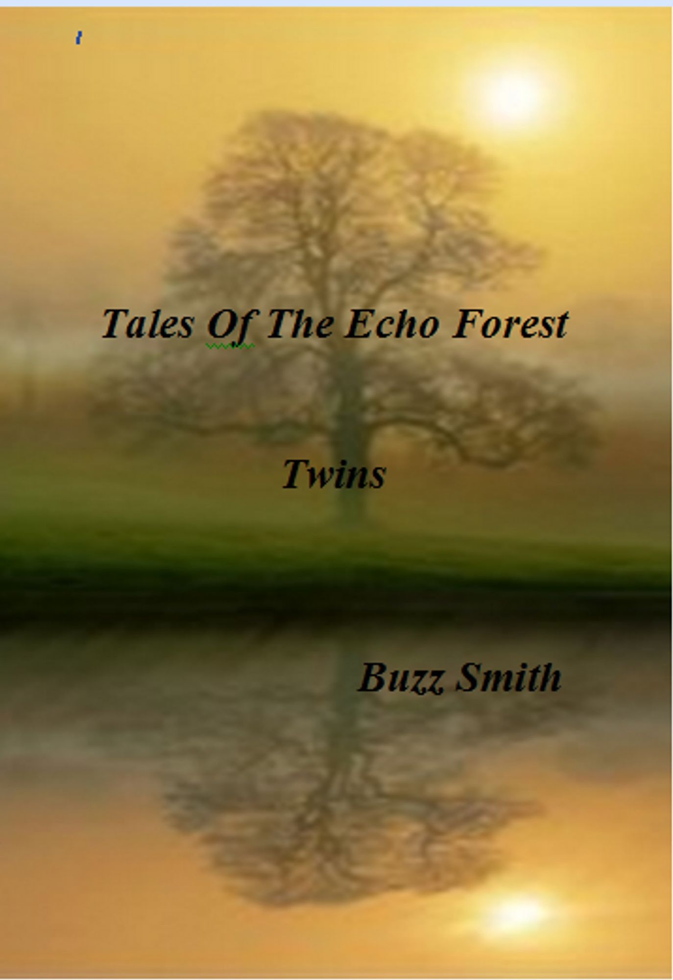 Tales Of The Echo Forest, Twins