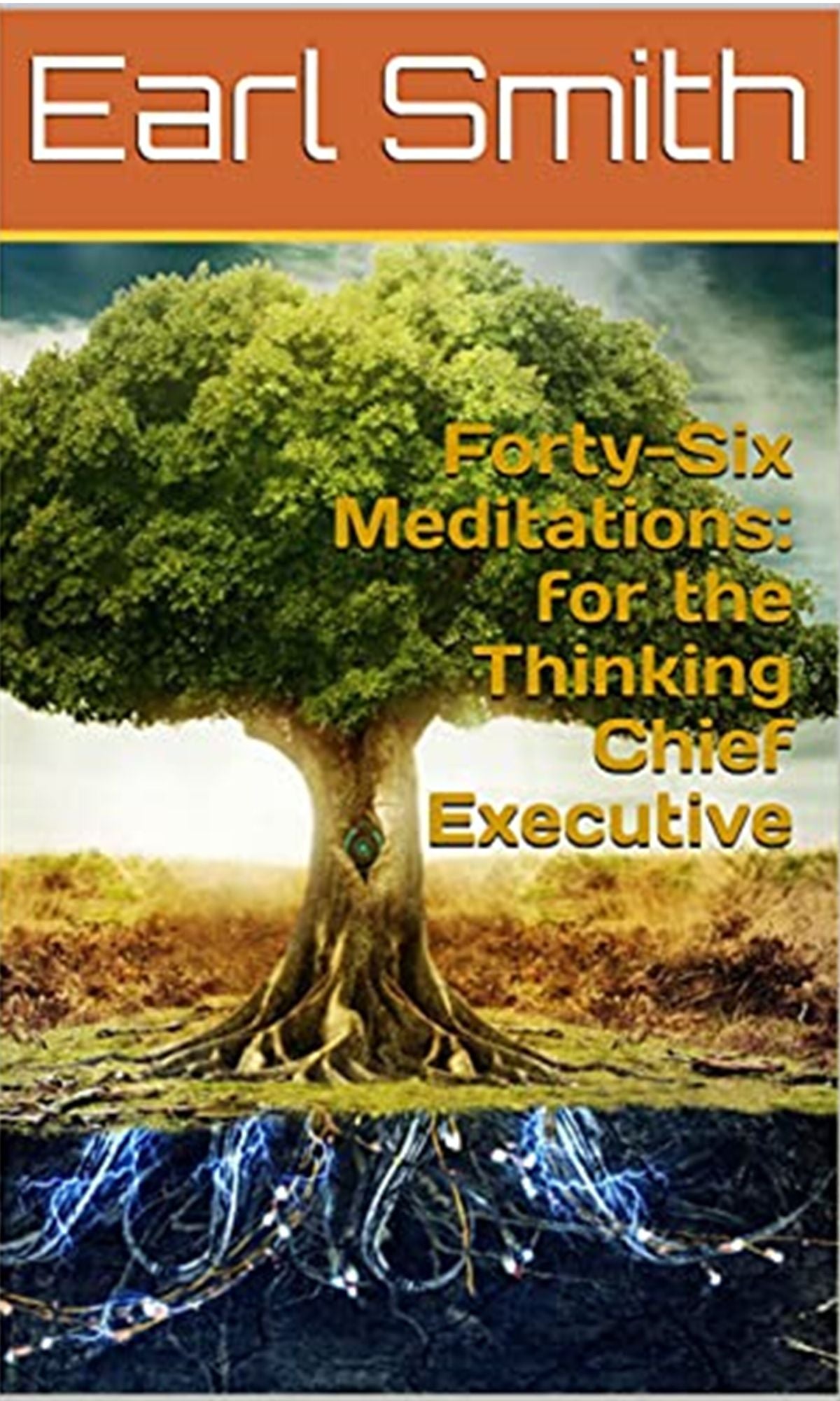 Forty-Six Meditations: for the Thinking Chief Executive