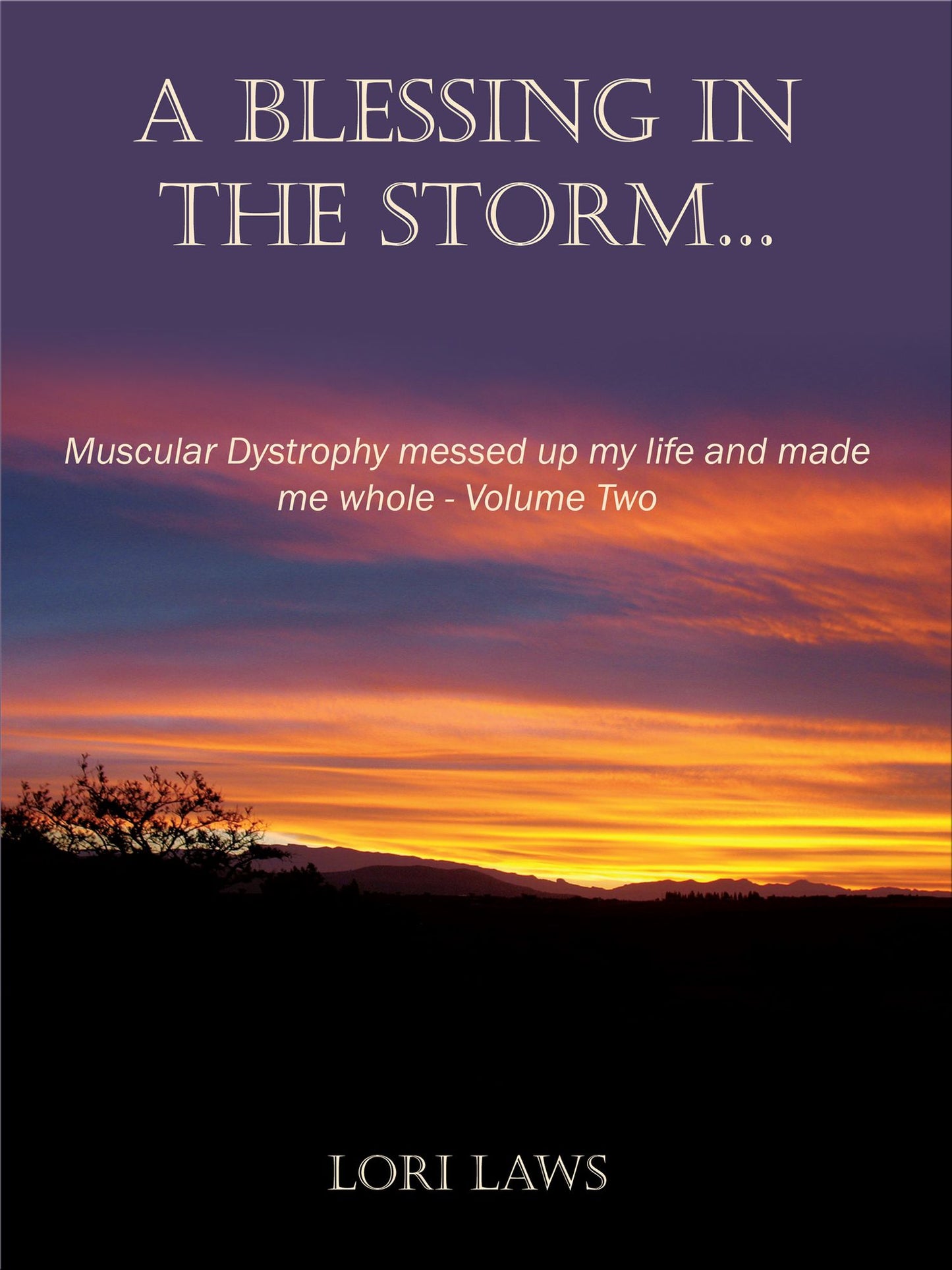 A Blessing in the Storm... Muscular Dystrophy messed up my life and made me whole: Volume Two