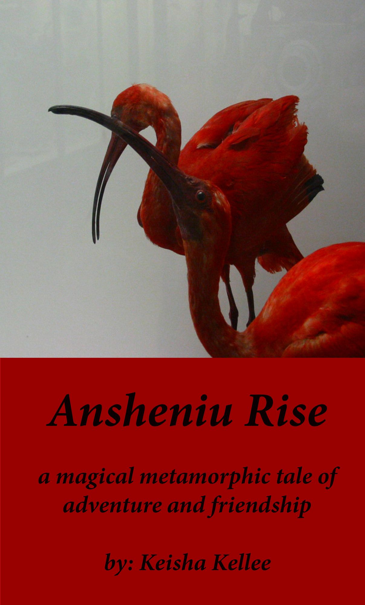 Ansheniu Rise