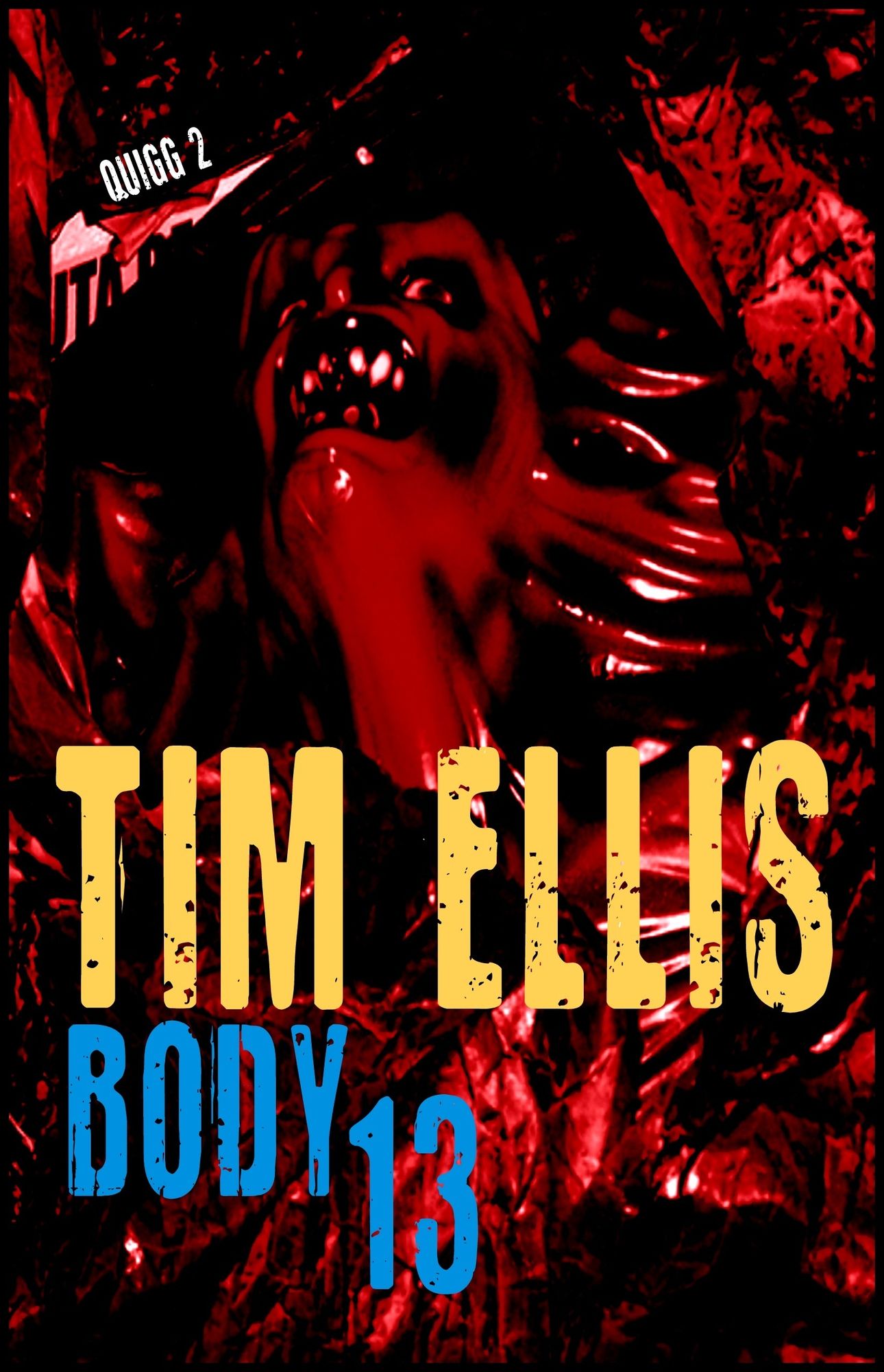 Body 13 (Quigg 2)