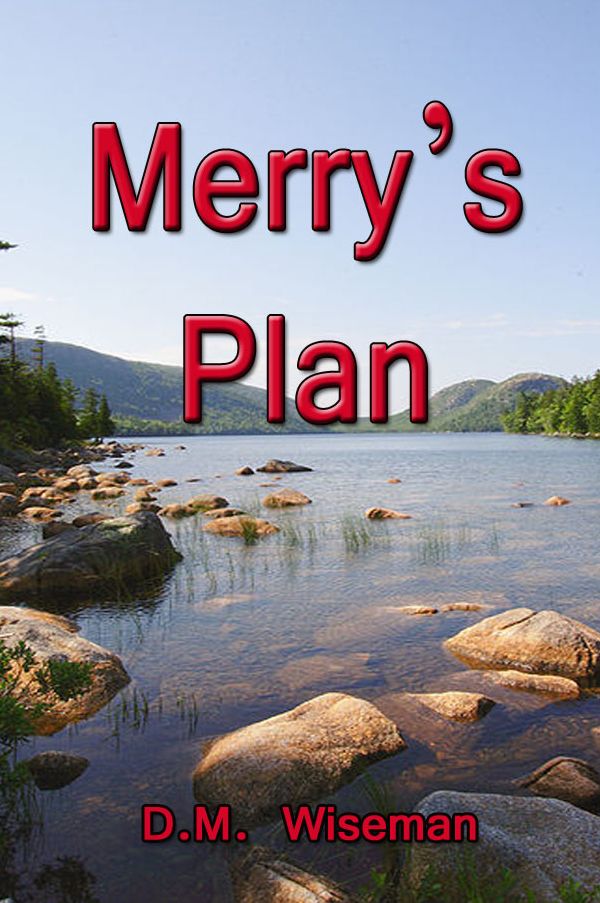 Merry's Plan