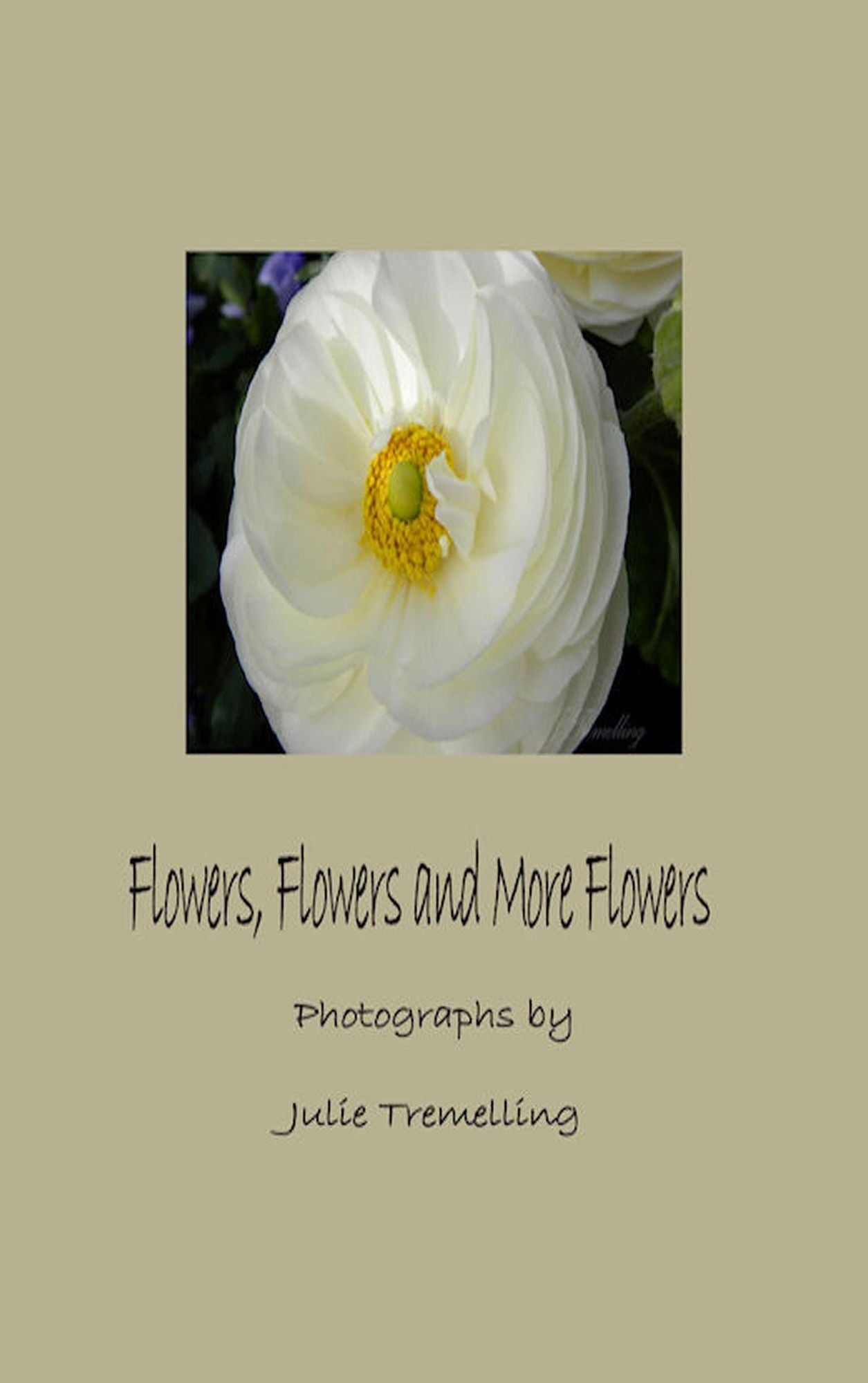 Flowers, Flowers and More Flowers