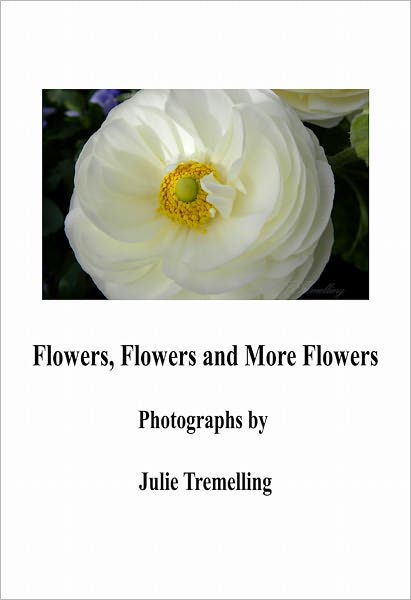 Flowers, Flowers and More Flowers