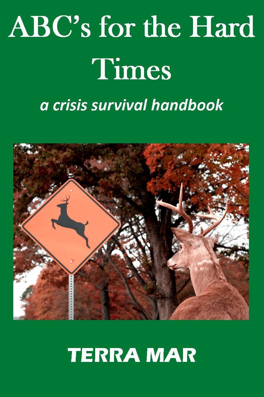 ABC's for the Hard Times: a crisis survival handbook