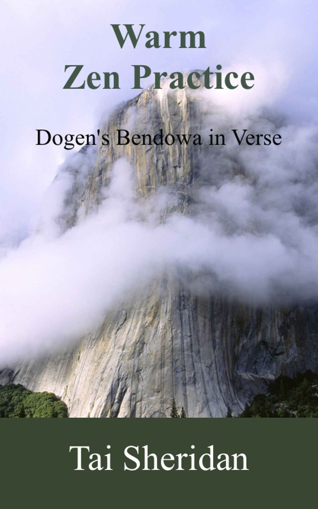 Warm Zen Practice: A poetic version of Dogen's Bendowa
