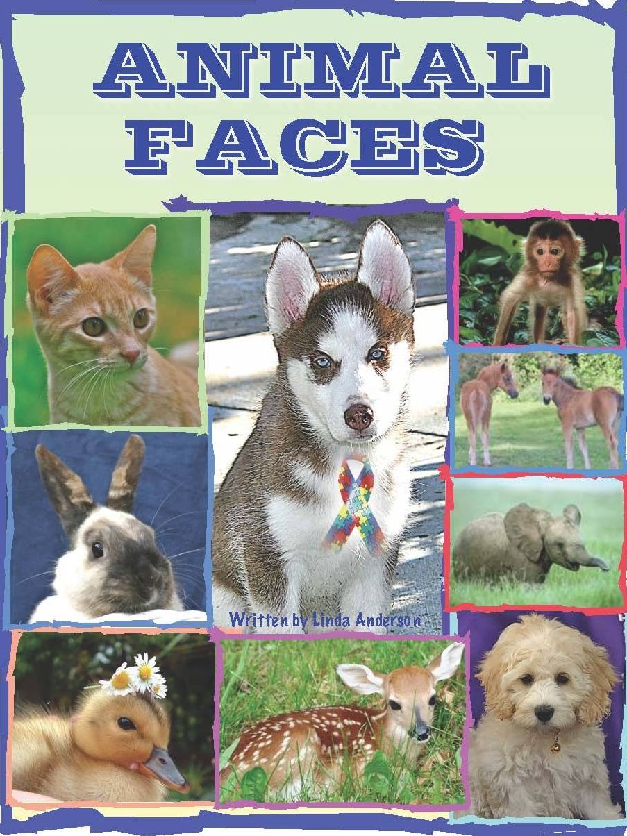 Animal Faces