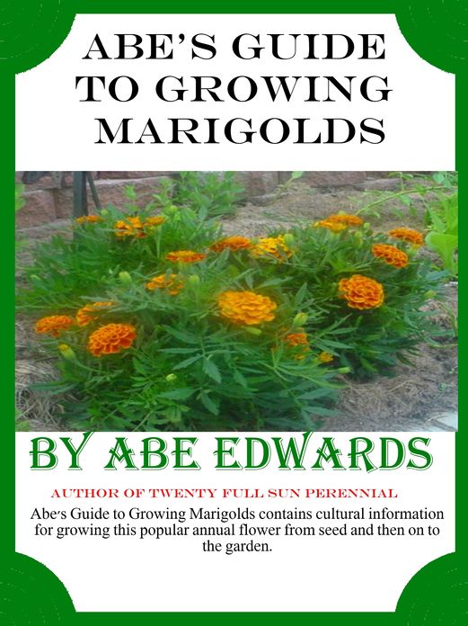 Abe's Guide to Growing Marigolds