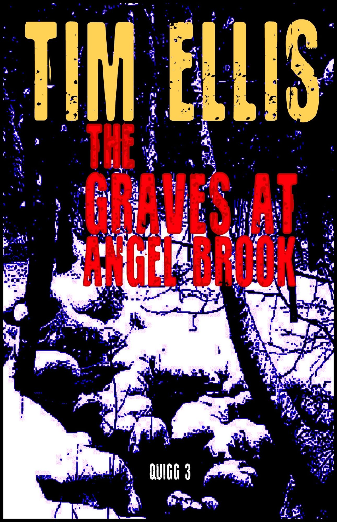 The Graves at Angel Brook (Quigg 3)