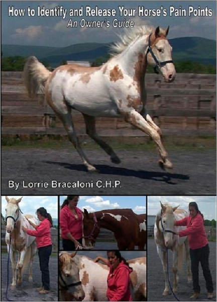How to Identify and Release Your Horse's Pain Points: An Owner's Guide