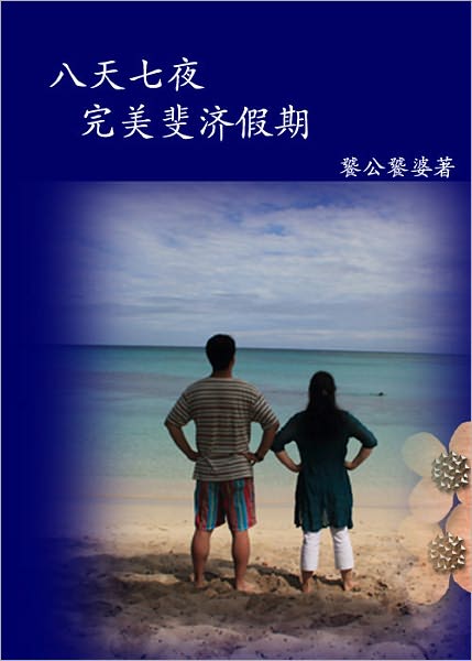 ba tian qi ye wan mei fei ji jia qi