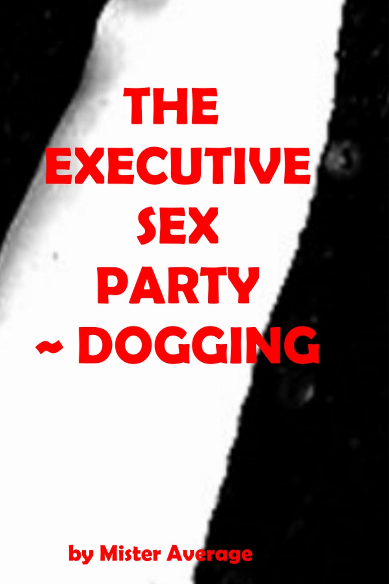 The Executive Sex Party ~ Dogging.