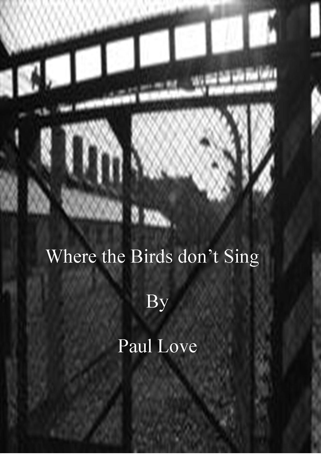 Where the Birds don't Sing