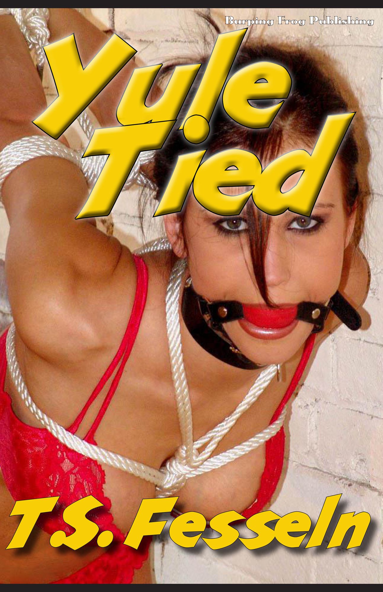 Yule Tied: A Collection of Erotic Holiday Stories