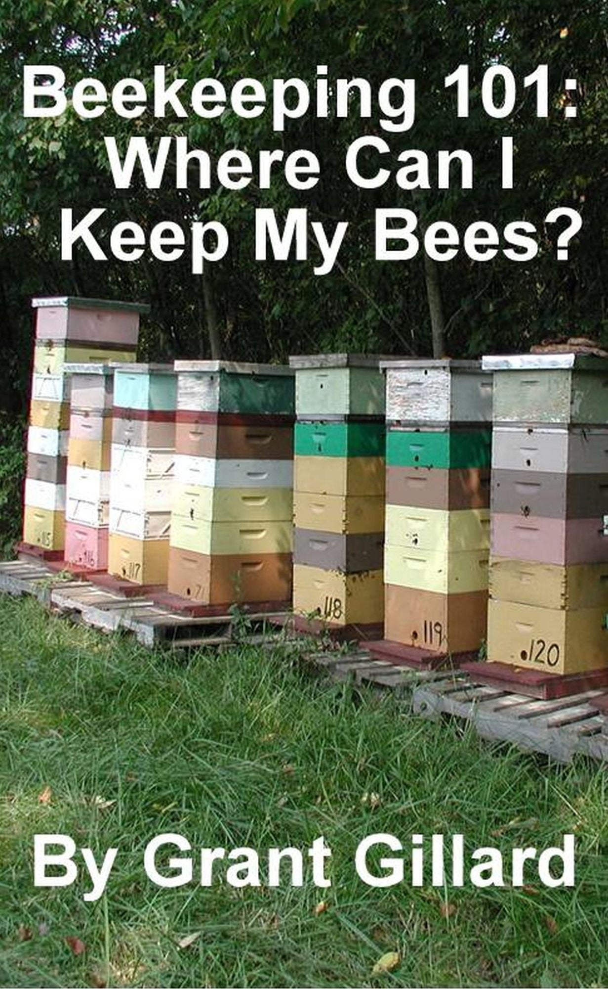 Beekeeping 101: Where Can I Keep My Bees?