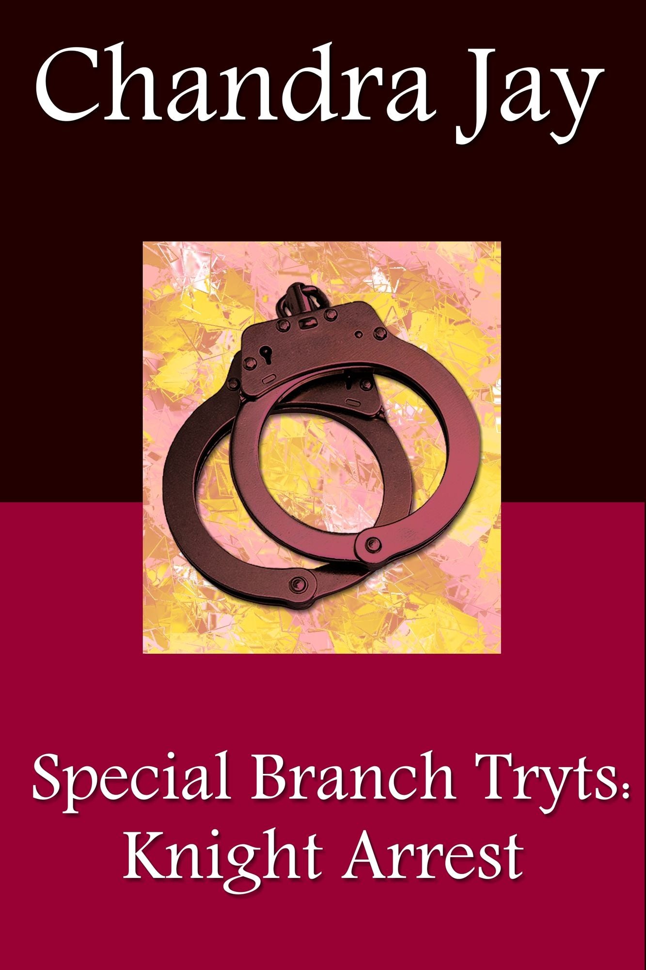 Special Branch Trysts: Knight Arrest