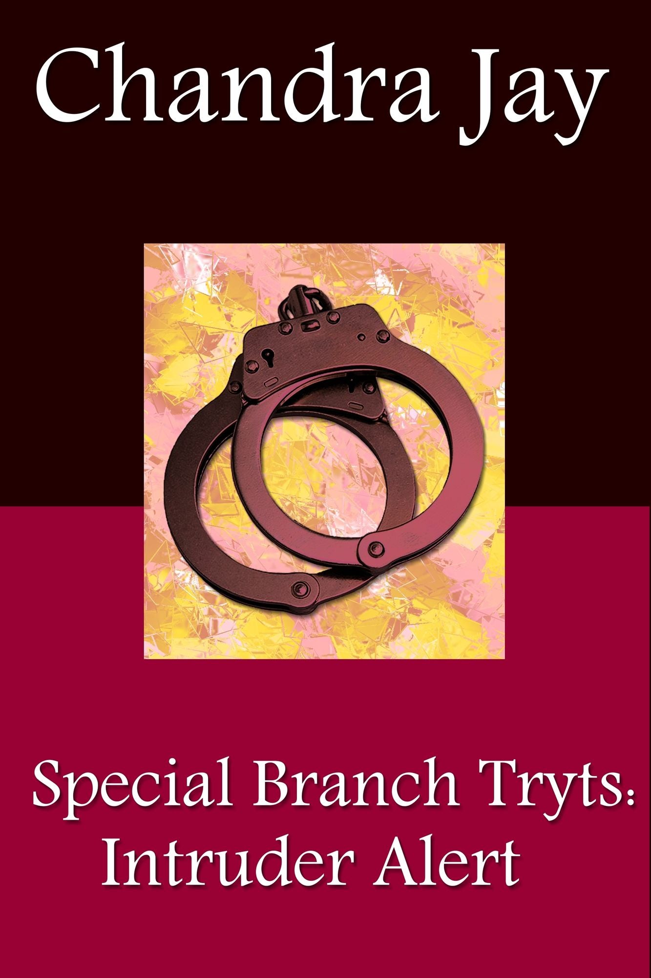 Special Branch Trysts: Intruder Alert