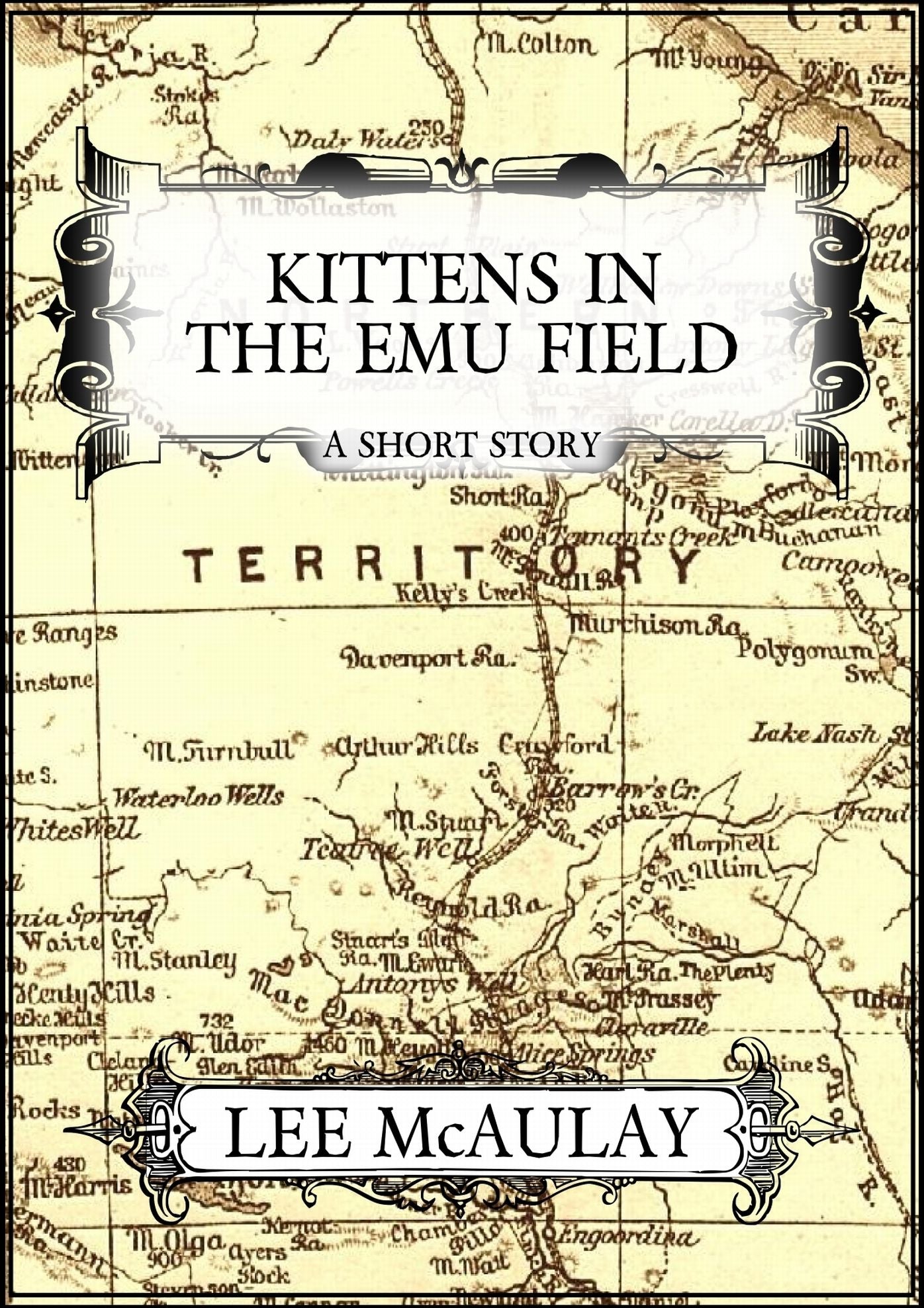 Kittens In The Emu Field