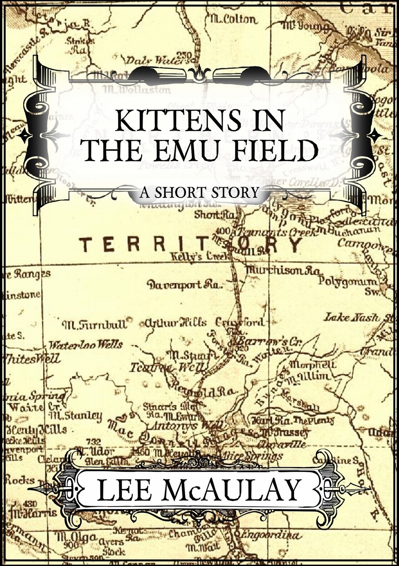Kittens In The Emu Field