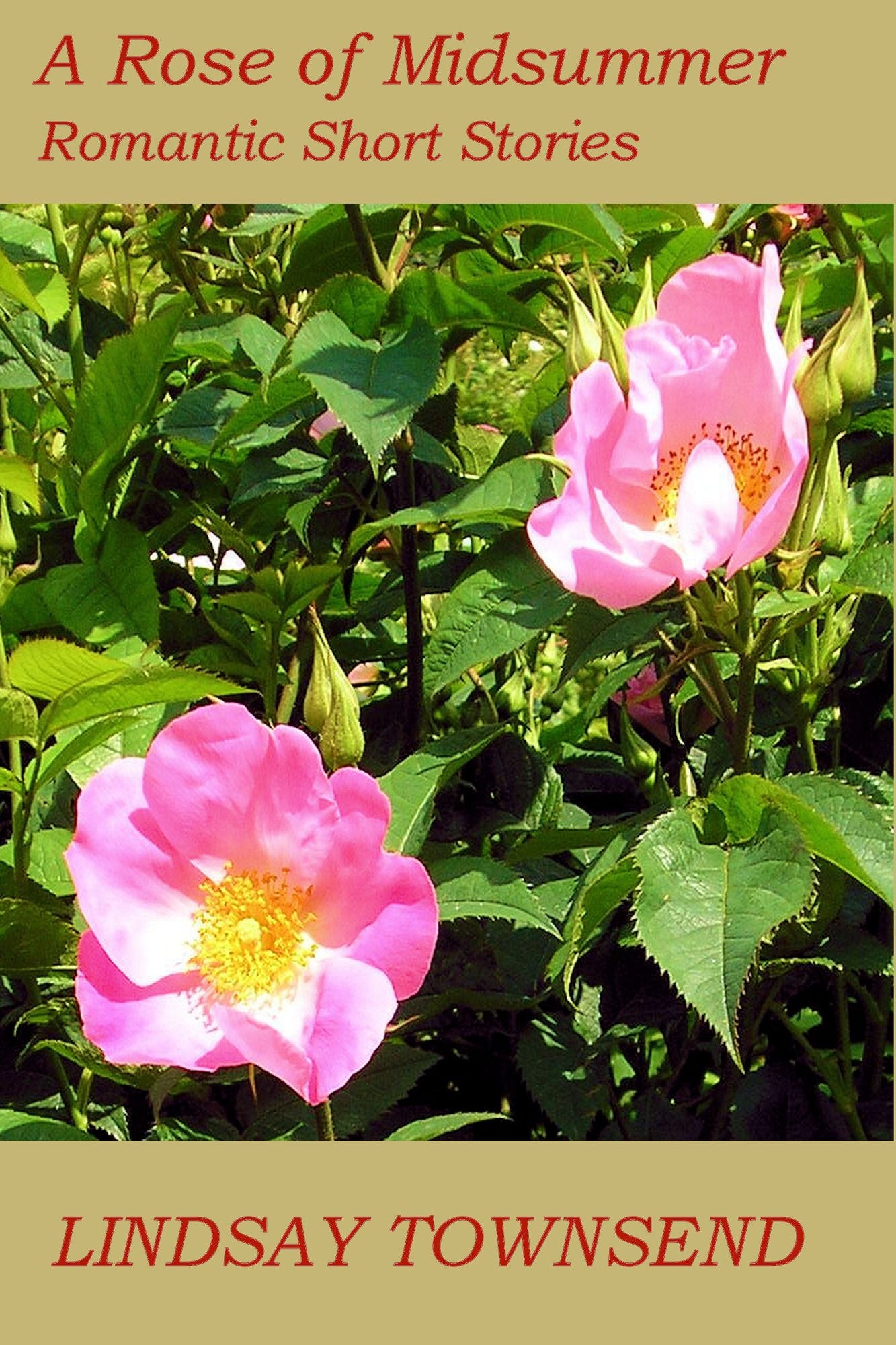 A Rose of Midsummer and other stories