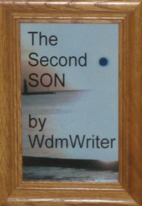 The Second Son
