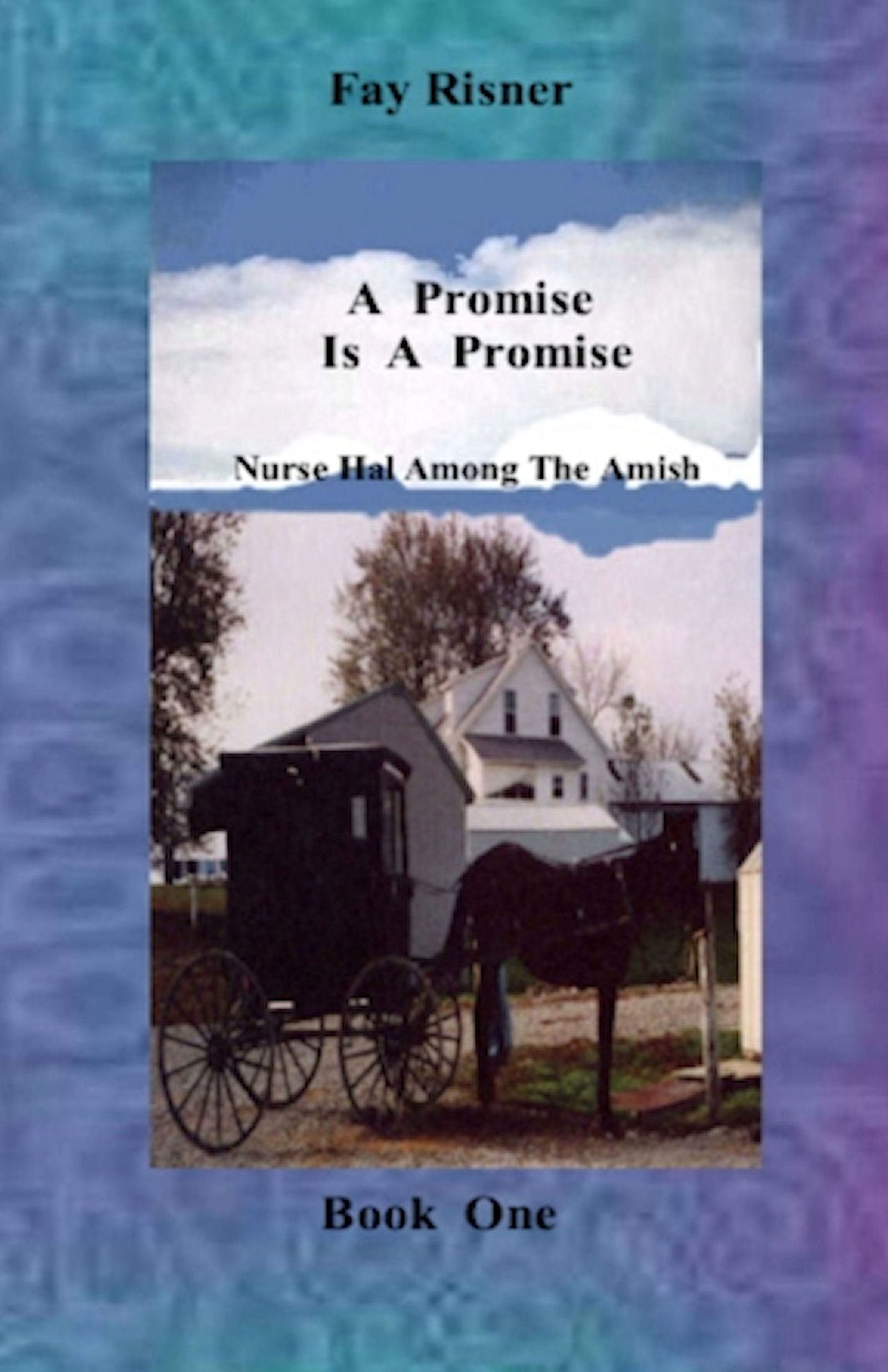 A Promise Is A Promise-book 1-Nurse Hal Among The Amish