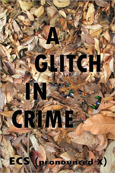 A Glitch in Crime