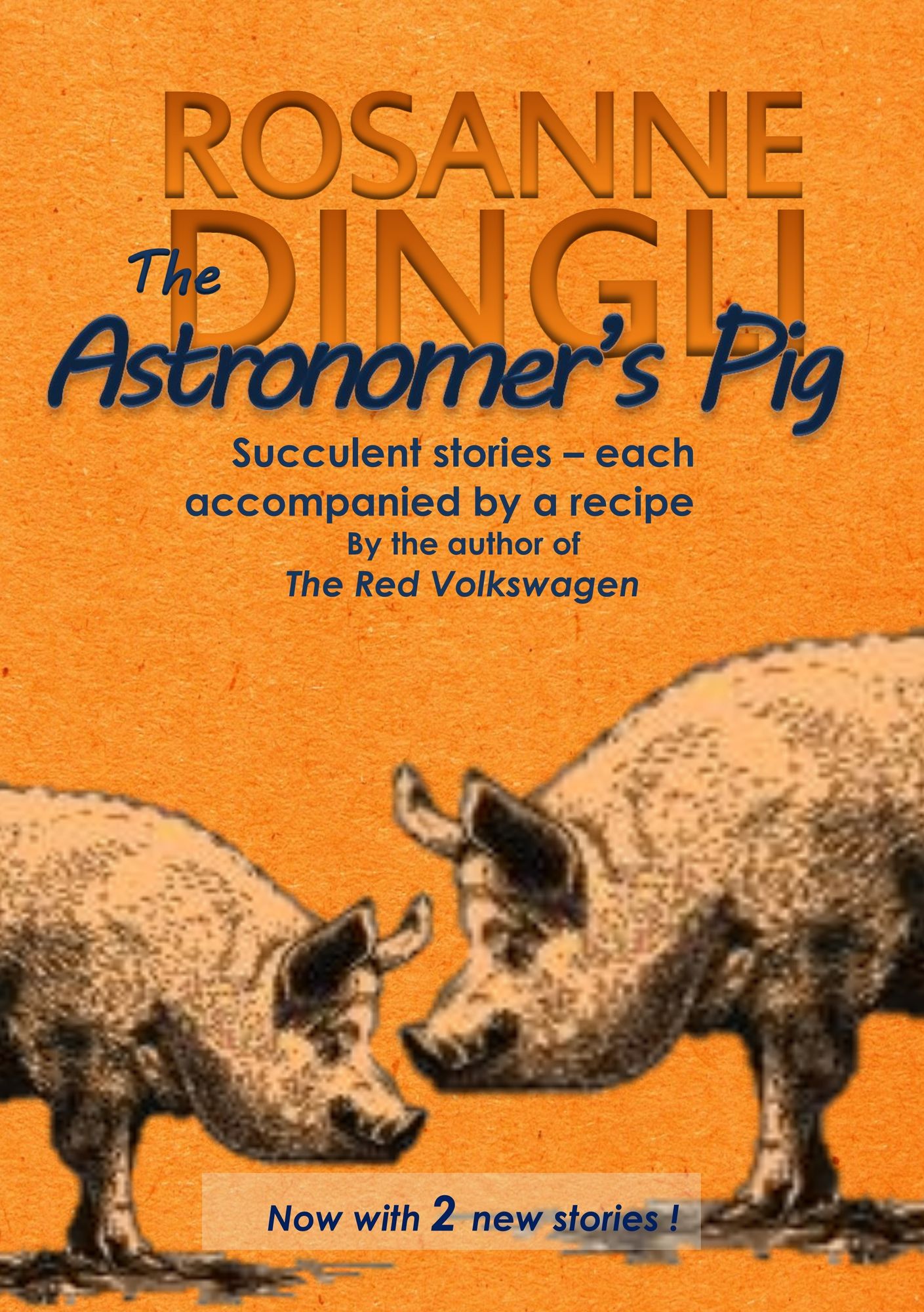 The Astronomer's Pig