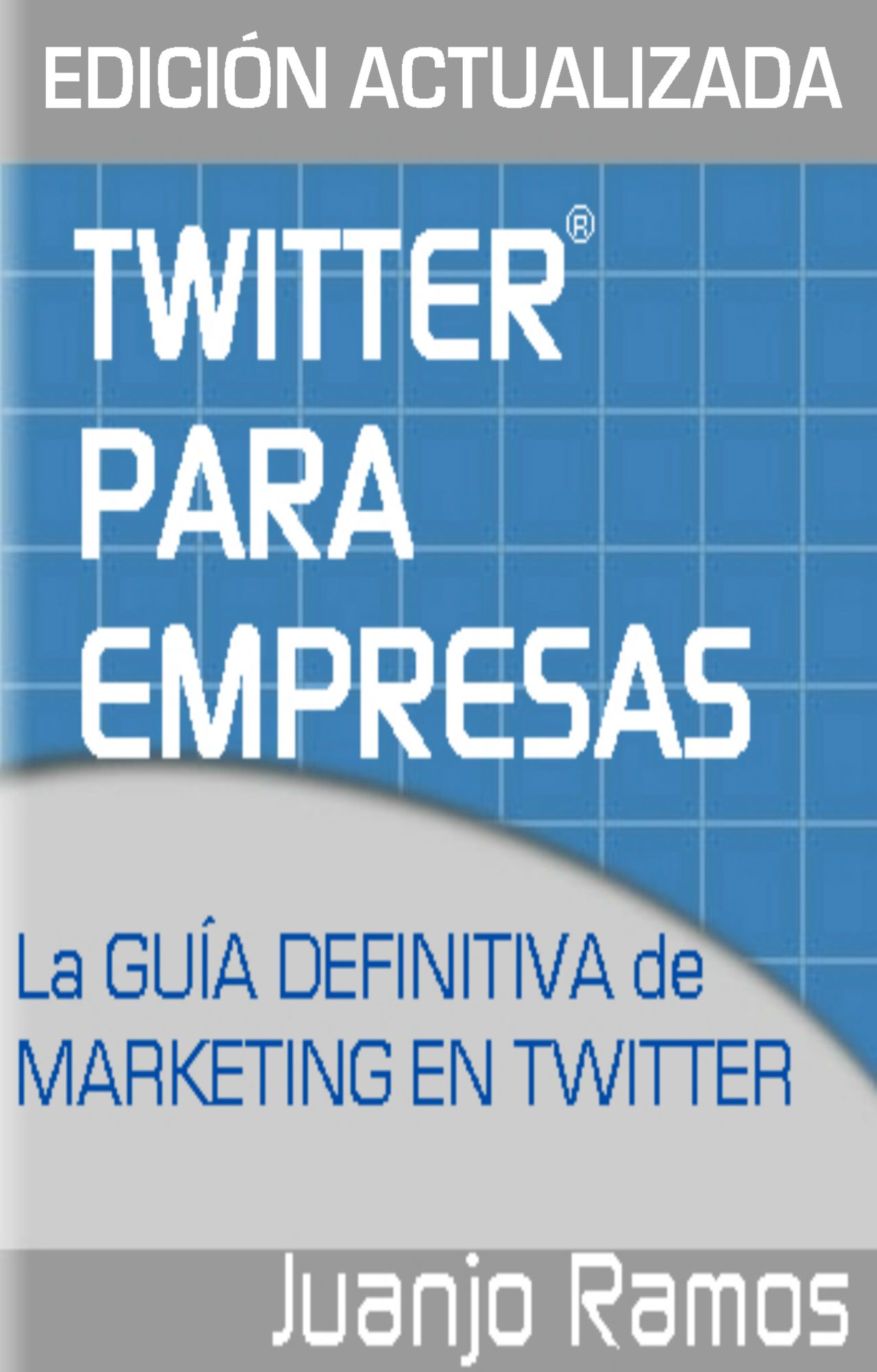 Twitter para Empresas: Marketing en Twitter