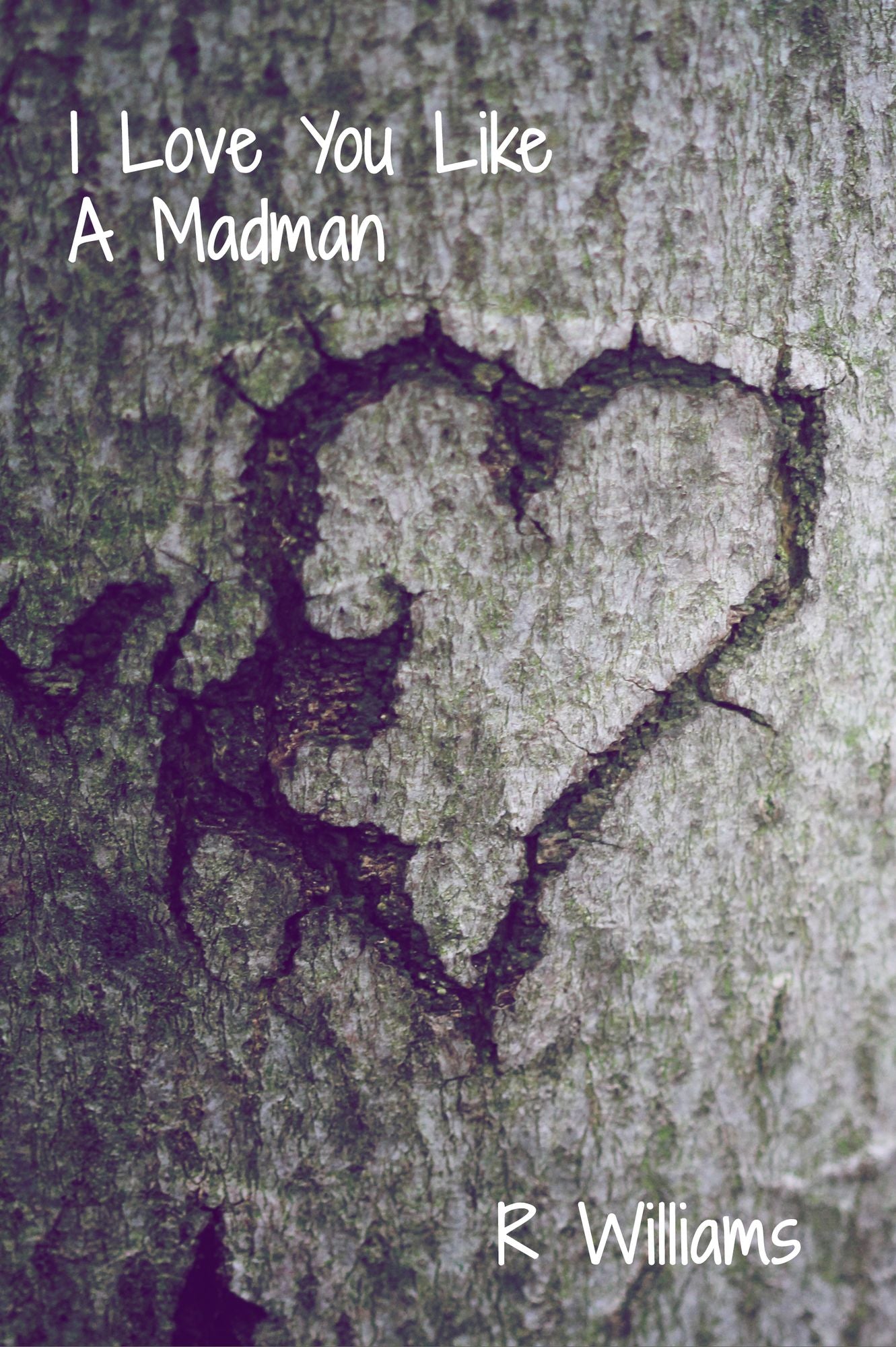 I Love You Like A Madman