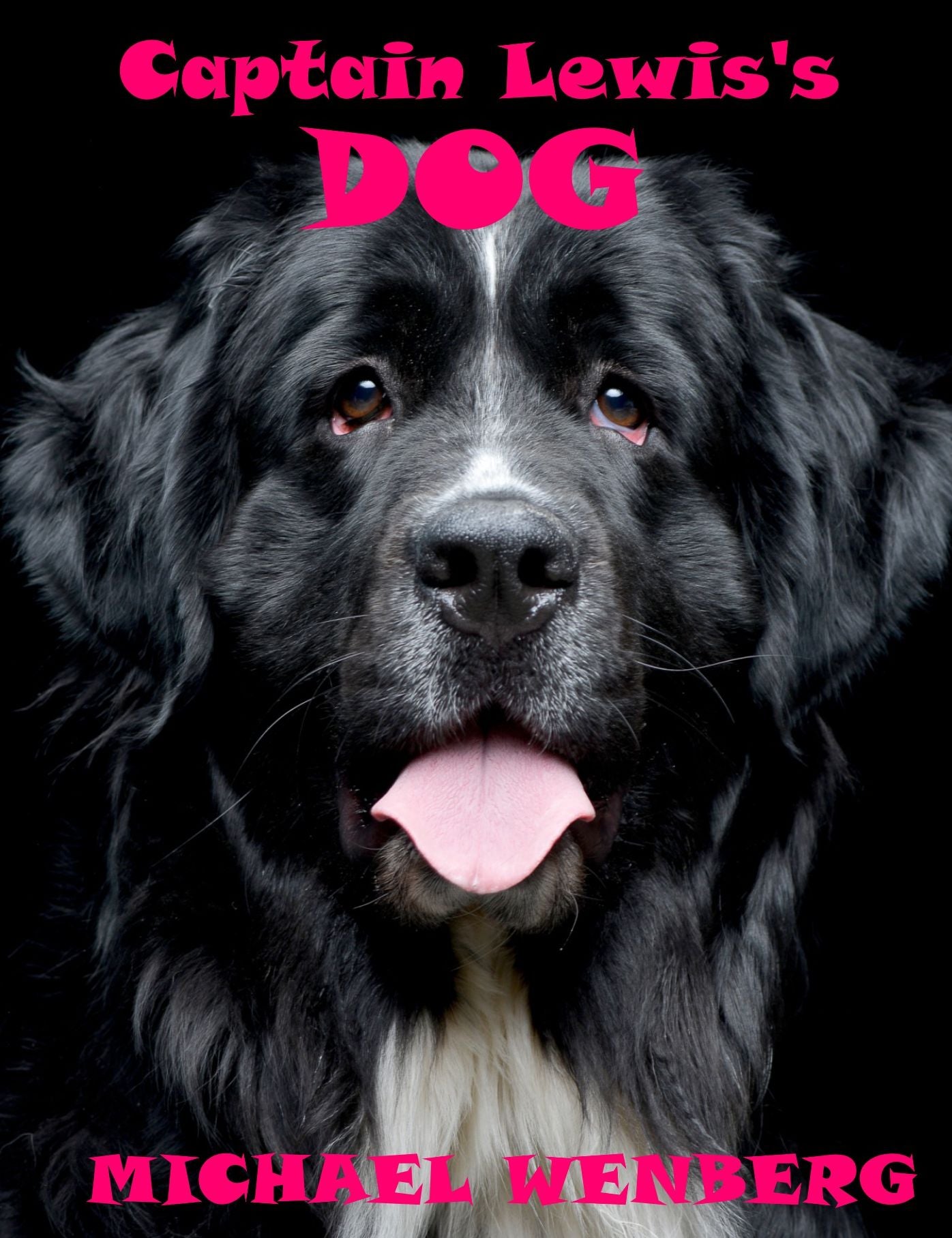 Captain Lewis's Dog