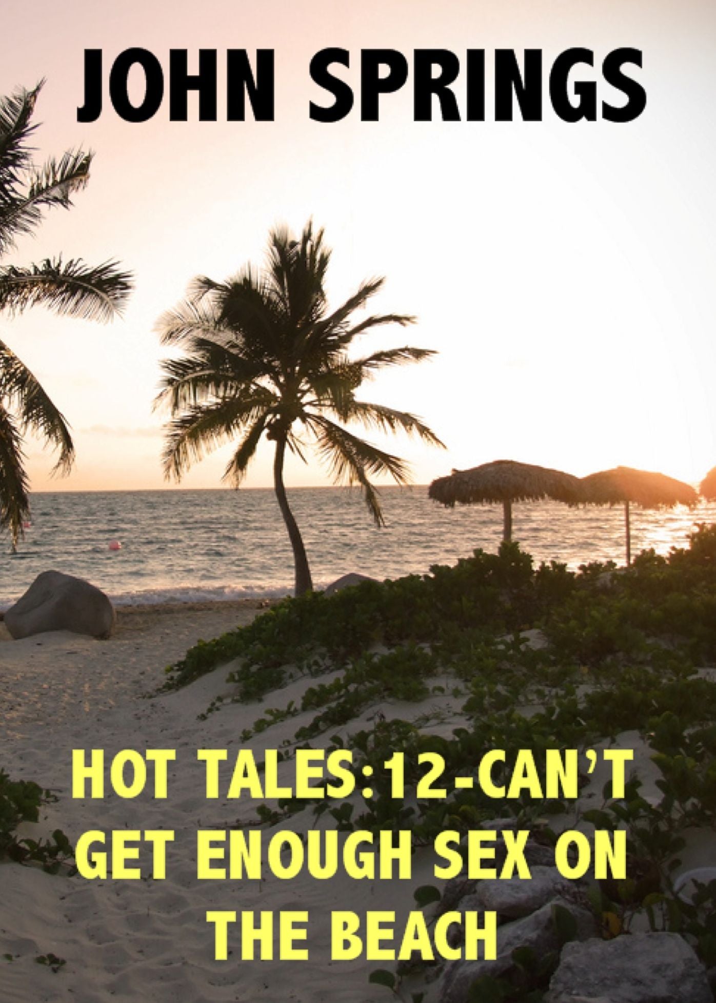 Hot Tales: 12-Can't Get Enough Sex on the Beach