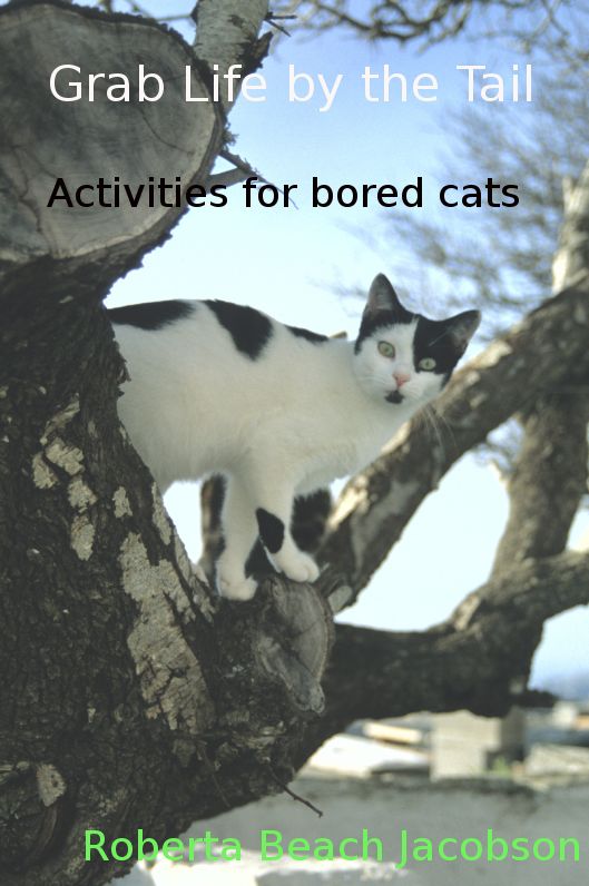 Grab Life by the Tail: Activities for bored cats
