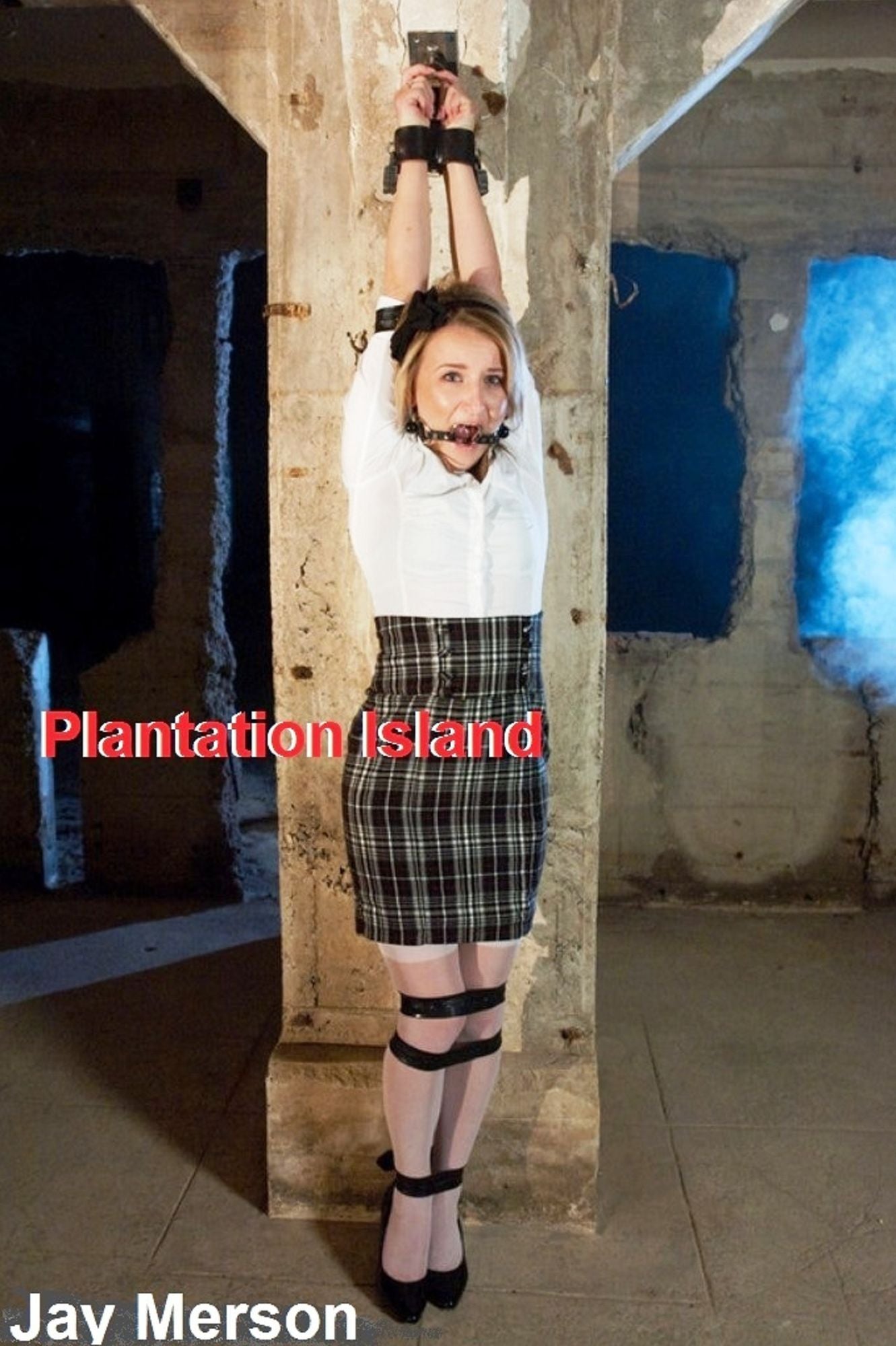 Plantation Island (BDSM erotica)