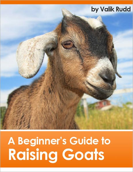 A Beginner's Guide To Raising Goats