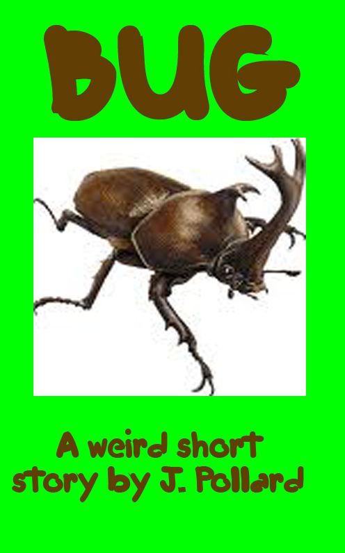 Bug
