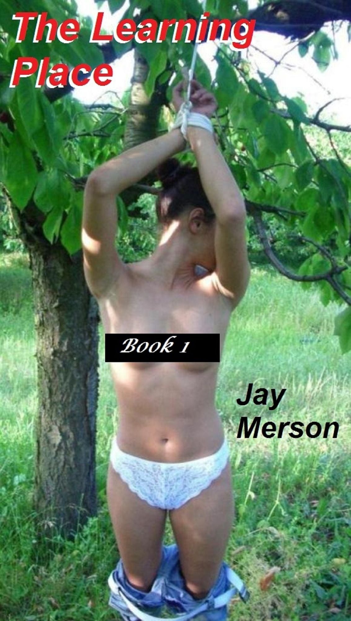 The Learning Place (BDSM erotica)