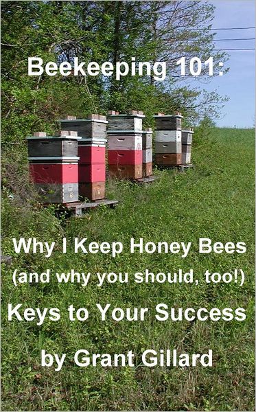 Beekeeping 101: Why I Keep Honey Bees (and why you should, too!)
