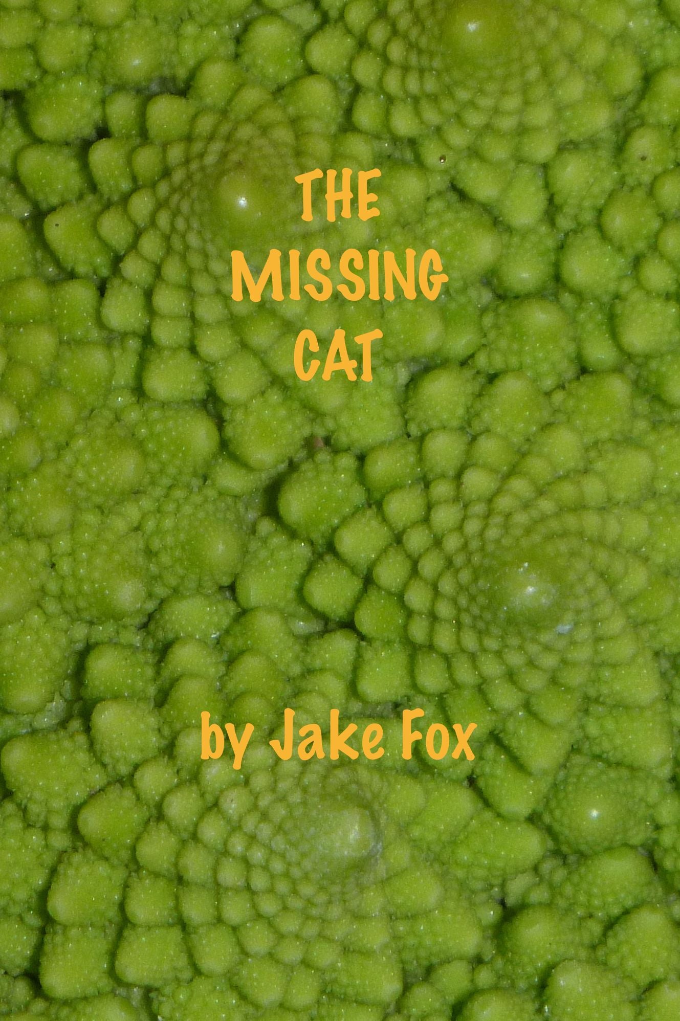 The Missing Cat
