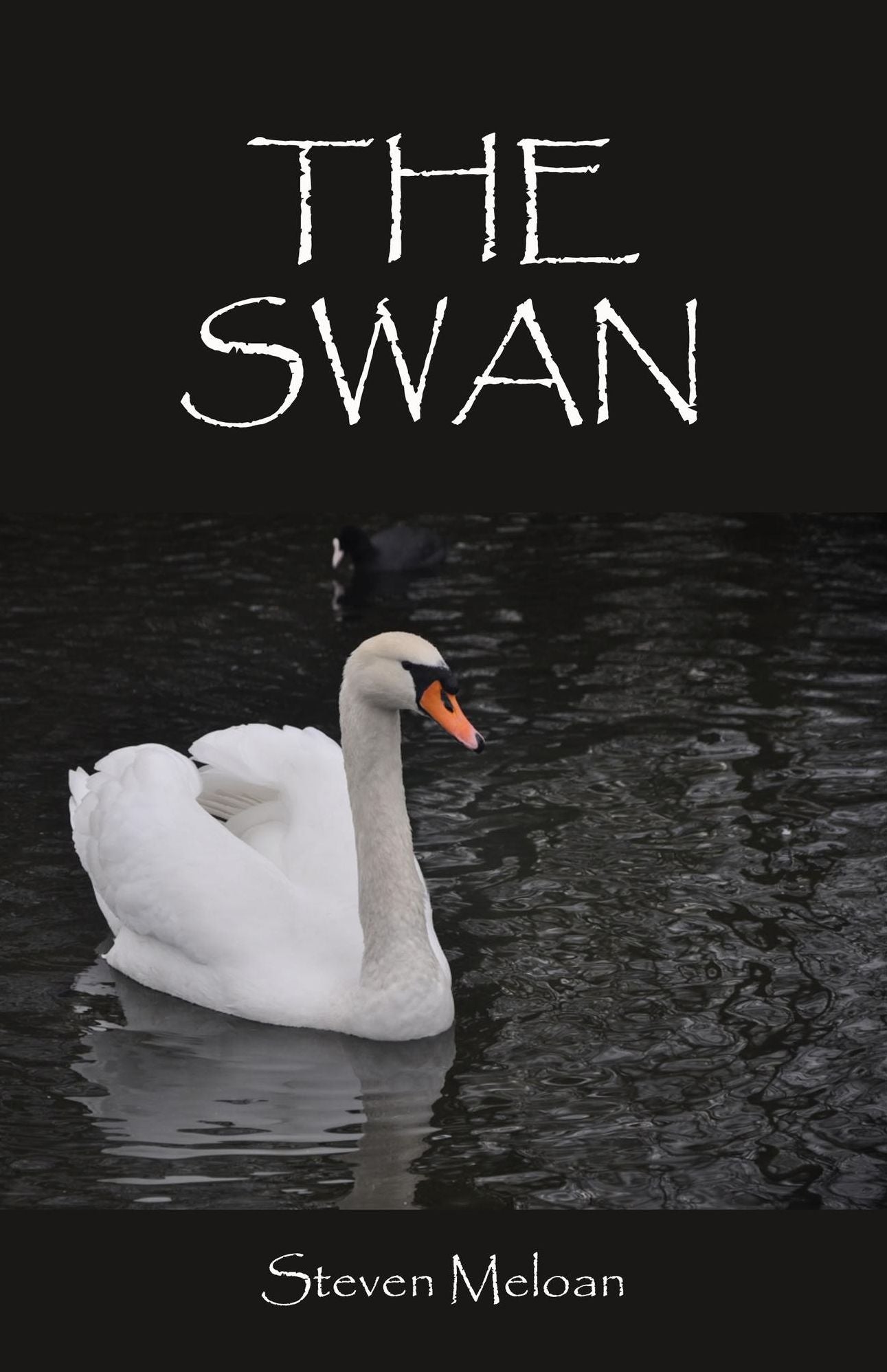 The Swan