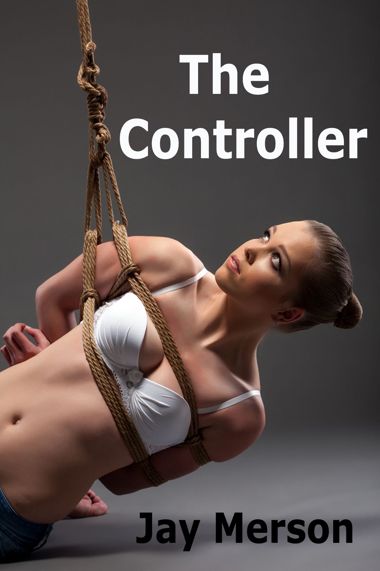 The Controller (BDSM erotica)