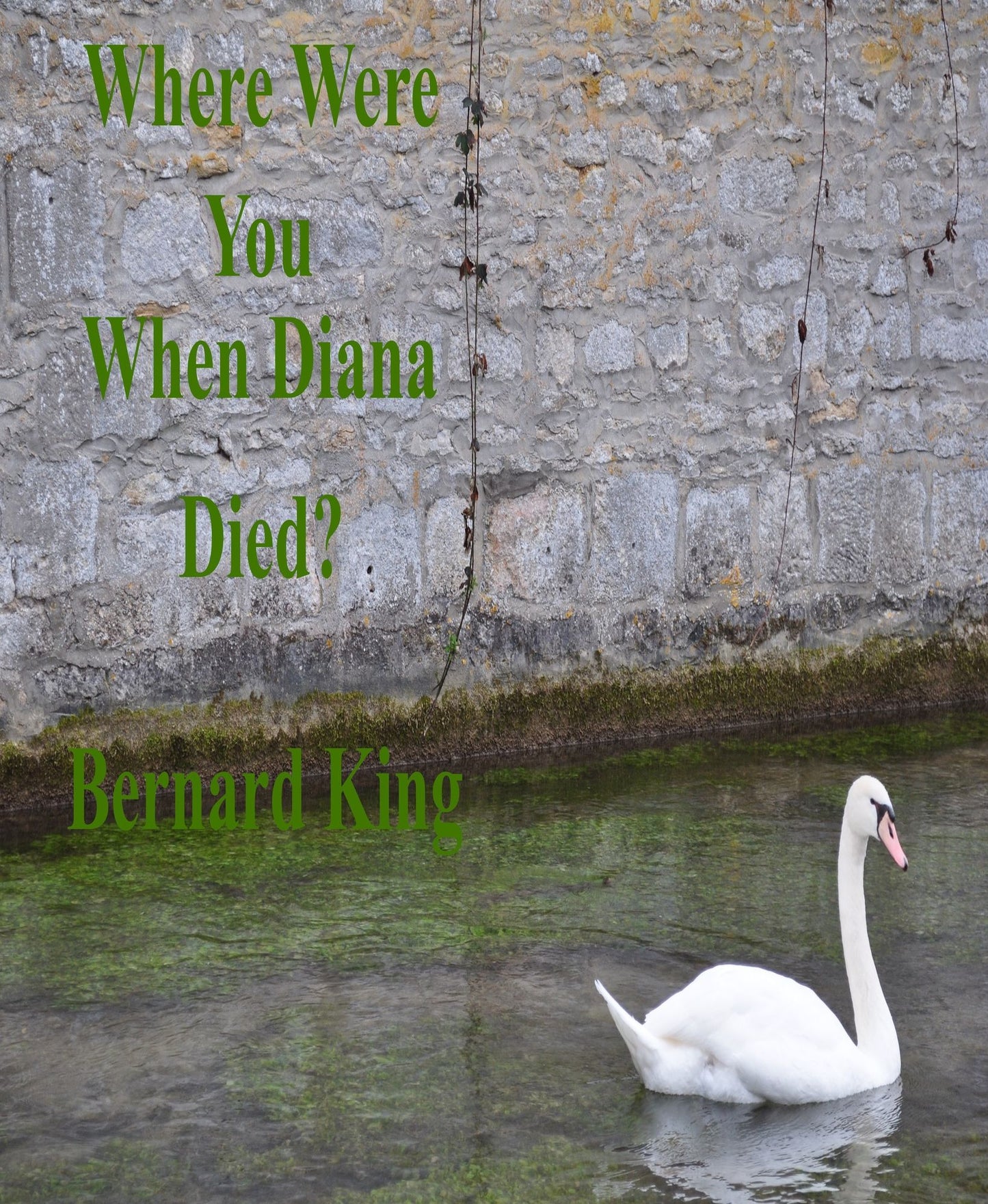 Where Were You When Diana Died