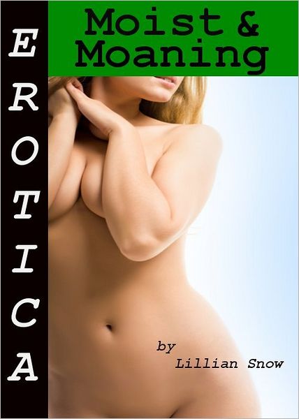Erotica: Moist & Moaning, Story Taster